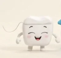 Flossy, a happy little white floss box